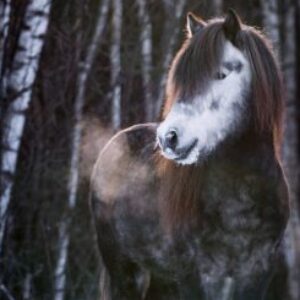 Profilfoto von Lilla