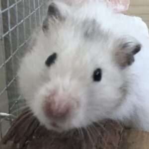 Profilfoto von linda_buehl