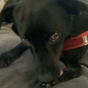 Profilfoto von ella_buehl