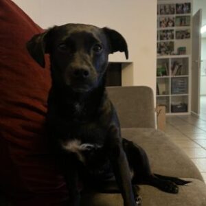 Profilfoto von Ella Sidi-Friede