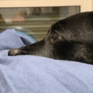 Profilfoto von Ella Sidi-Friede