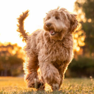 Profilfoto von Mayla