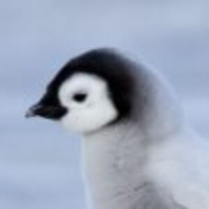 Profilfoto von Ladina