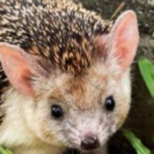 Profilfoto von aviva_buehl