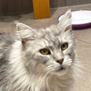 Profilfoto von loti25