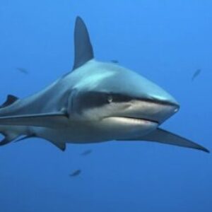 Profilfoto von si_hiyhae