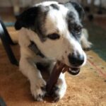 Profilfoto von Alvaro