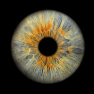 Profilfoto von curdin_lavater