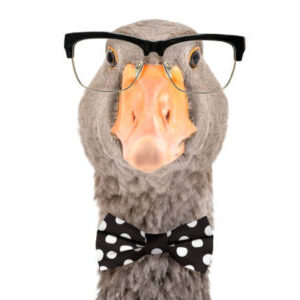 Profilfoto von saschameier