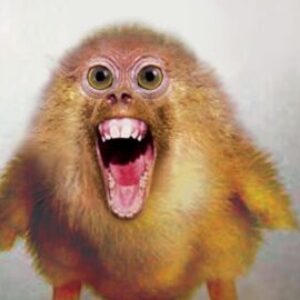 Profilfoto von immanuelfahner