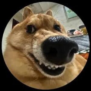 Profilfoto von arthur