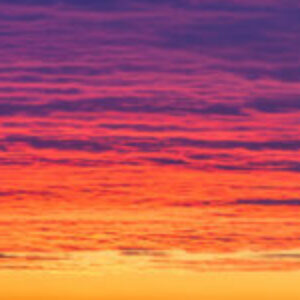 Profilfoto von juna_lavater