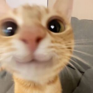 Profilfoto von 2650610206