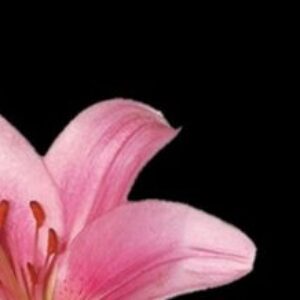 Profilfoto von 2650610215