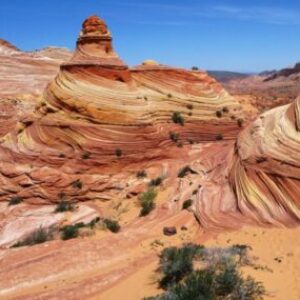 Profilfoto von Rosa Nart