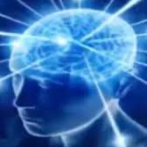 Profilfoto von 2650680102