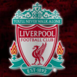 Profilfoto von hofiorange_13