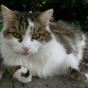 Profilfoto von s2c_sonia