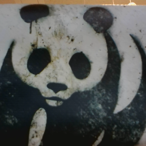 Profilfoto von fraveaud