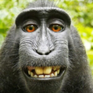 Profilfoto von krase