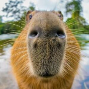 Profilfoto von scherto