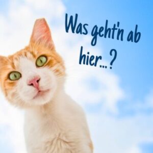 Profilfoto von wim_kuengenmatt