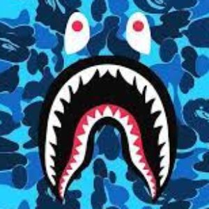 Profilfoto von 2651020102 Lovrinovic