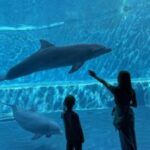 Profilfoto von Helena