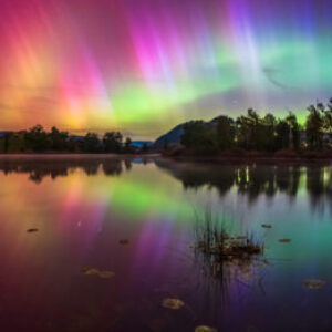 Profilfoto von lea01