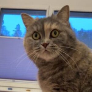 Profilfoto von 2620040106 Schällibaum