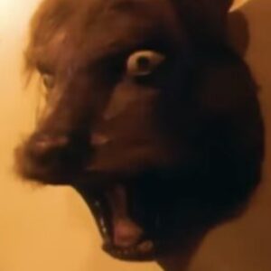 Profilfoto von krepmat
