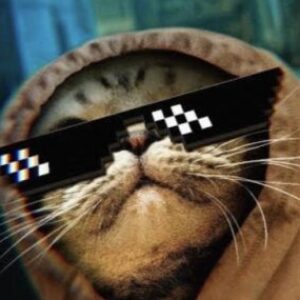 Profilfoto von kasmax