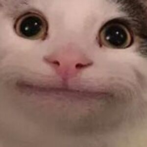 Profilfoto von kroll-janis