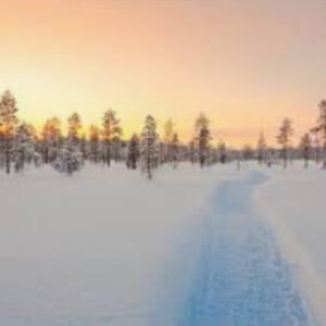 Profilfoto von lindad