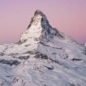 Profilfoto von monica