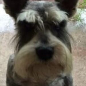 Profilfoto von juraj