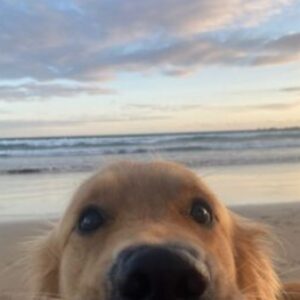 Profilfoto von ameliexme